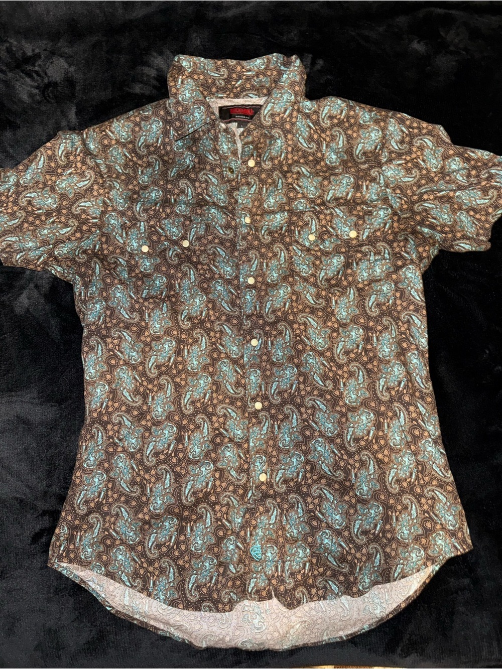 Paisley Short-Sleeve Button-Down Shirt in Brown & Teal